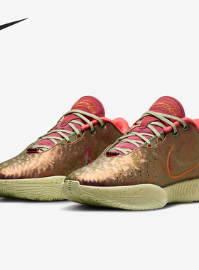 Nike/耐克官方正品LeBron XXI EP男士詹姆斯实战篮球鞋FN0709-800