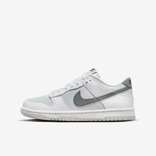 Nike/耐克正品Dunk Low 舒适耐磨舒适经典透气低帮板鞋FV0365-100