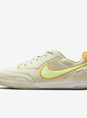 Nike/耐克正品春季男士耐磨时尚休闲经典低帮足球鞋IQ8295-339