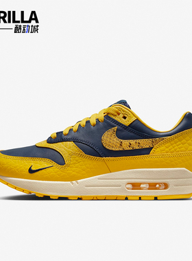 Nike/耐克正品防滑耐磨新款男女气垫缓震运动跑步鞋FJ5479-410