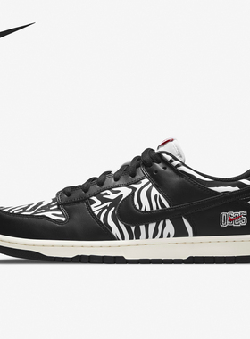 Nike/耐克正品男女同款防滑耐磨轻便低帮透气板鞋DM3510-001