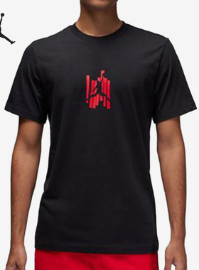 Nike/耐克官方正品JORDAN男士训练宽松透气印花短袖T恤FD7026-010