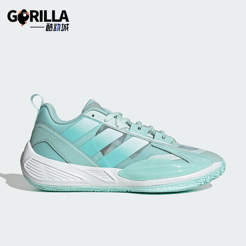 Adidas/阿迪达斯正品XENOBURST男女时尚经典运动低帮篮球鞋JR4379