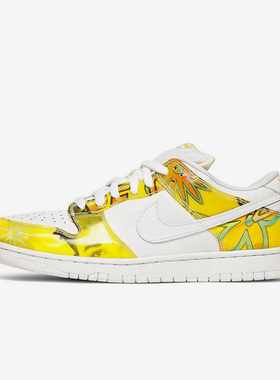 Nike/耐克官方正品Dunk SB Soul男士休闲低帮板鞋男款304292-171