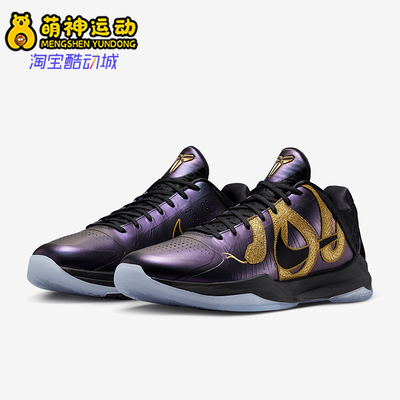 Nike/耐克正品2025新款男士复古低帮实战篮球鞋IB4481-500
