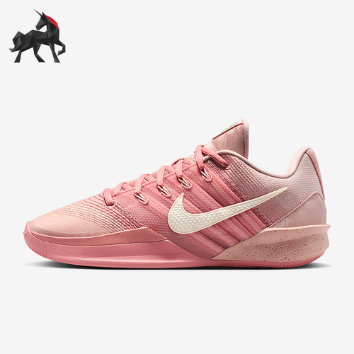Nike/耐克正品Sabrina 3 EP男女系带低帮耐磨篮球鞋HF2882-600
