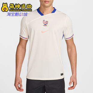 Nike/耐克正品 Dri-FIT男士图案足球训练经典运动短袖FZ9023-110