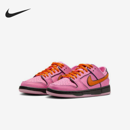 Nike/耐克正品Dunk SB 小童日常低帮潮流复古板鞋FZ3351-600