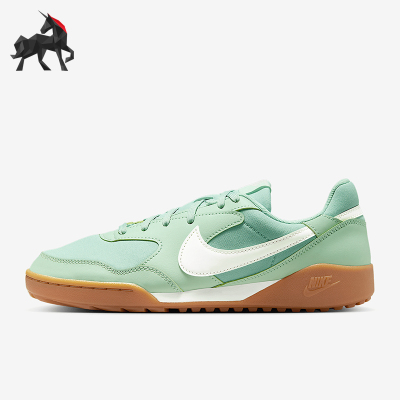 Nike/耐克正品TERRA MANTA新款女士系带轻便低帮休闲鞋HQ1940-300