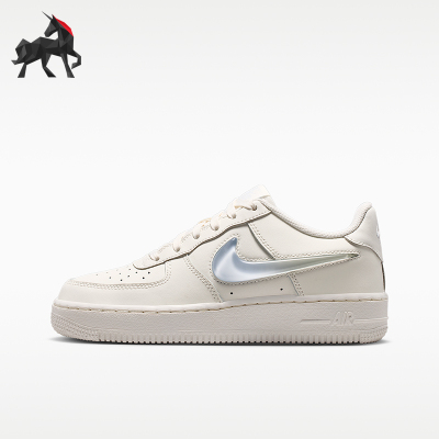 Nike/耐克正品GS女子大童经典休闲低帮系带板鞋IR0595-101