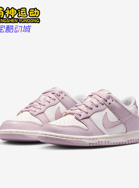 Nike/耐克正品2025GS女子大童轻便透气耐磨板鞋FB9109-122