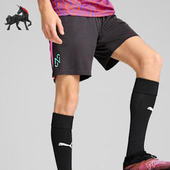 男士 夏季 时尚 亲肤透气舒适休闲运动短袖 Puma 660097 彪马正品