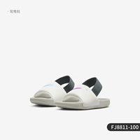 FJ8811-100