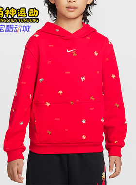 Nike/耐克正品春季款大童休闲连帽套头刺绣运动卫衣IR0097-657