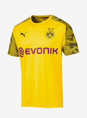 PUMA/彪马正品19/20赛季多特蒙德男子休闲印花短袖T恤 BVB 755762