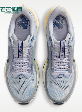 Nike/耐克正品Pegasus Premium 男士缓震经典跑步鞋IR1815-012