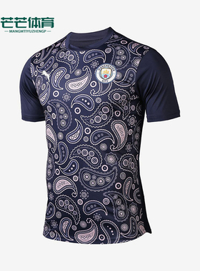 Puma/彪马正品2025男士日常圆领套头耐穿透气足球短袖758030-09