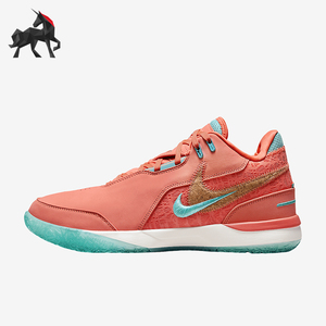Nike/耐克正品四季款男女透气时尚防滑实战运动篮球鞋FJ1566-401