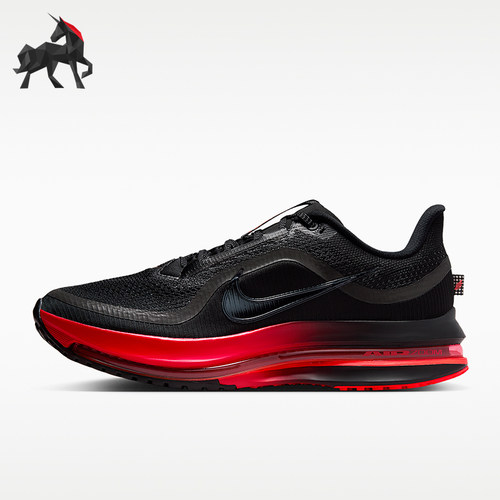 Nike/耐克正品Pegasus Premium男士反光耐磨跑步鞋HQ2592-019