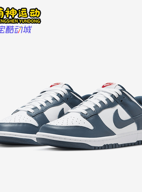 Nike/耐克正品Dunk Low Retor男士轻便经典板鞋DD1391-400