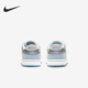 Dunk Low Nike Pro 板鞋 PS儿童经典 耐克正品 DJ2519 400