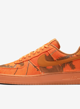 Nike/耐克正品休闲男士时尚印花图案系带运动板鞋AO2441-800