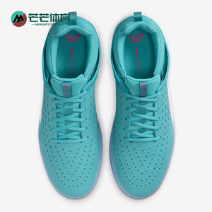 Nike/耐克正品SB Nyjah 3男士柔软轻盈耐磨透气休闲鞋DV7896-302