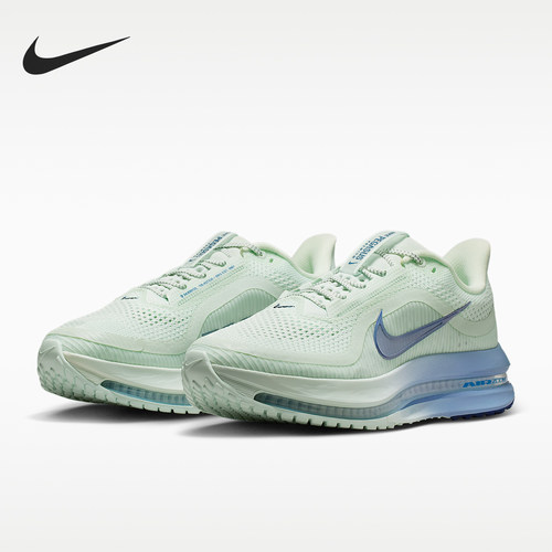 Nike/耐克正品PEGASUS PREMIUM女士缓震专业经典跑步鞋HQ2593-301