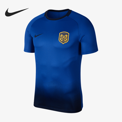 Nike/耐克官方正品夏季新款男士训练足球运动透气短袖AR4709-480