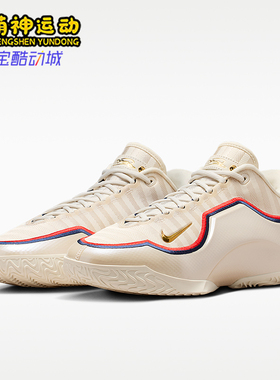 Nike/耐克正品JORDANLeBronXIEP詹姆斯经典男篮球鞋IB9563-103