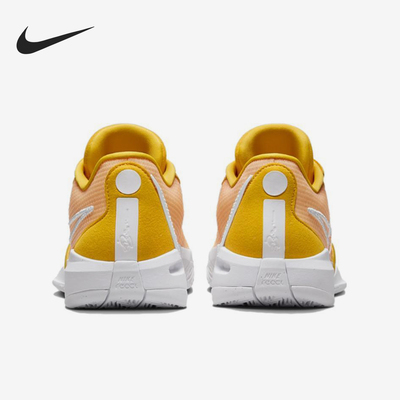 Nike/耐克正品运动男士时尚潮流透气系带篮球鞋FQ3391-700
