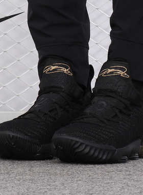 Nike/耐克正品 LEBRON XVI 詹姆斯16(GS)大童运动篮球鞋 AQ2465