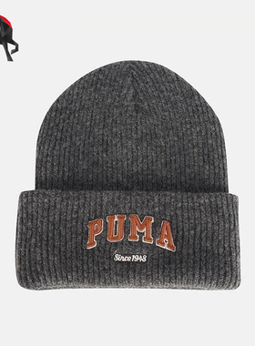 Puma/彪马正品2025年夏季男女运动保暖经典休闲针织帽027233-01