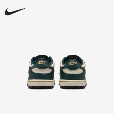 Nike/耐克正品Dunk Low 婴童运动复古低帮透气板鞋FB9107-301