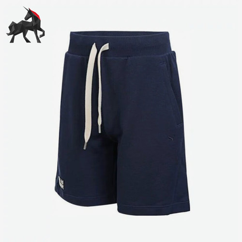 Puma/彪马正品2025秋季款男女宽松运动休闲刺绣透气短裤631562-73