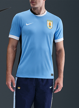 Nike/耐克正品Dri-FIT男士套头足球运动训练透气球衣IM8589-412