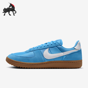 Nike/耐克正品2025男女轻便运动耐磨低帮系带日常板鞋HF3165-402