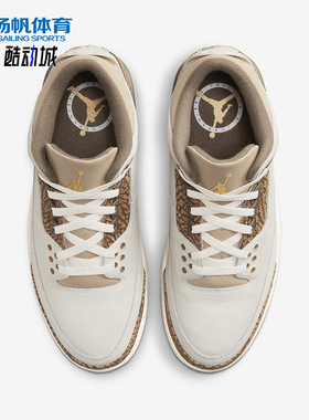 Nike/耐克正品Air Jordan 3男士复古耐磨经典篮球鞋CT8532-102