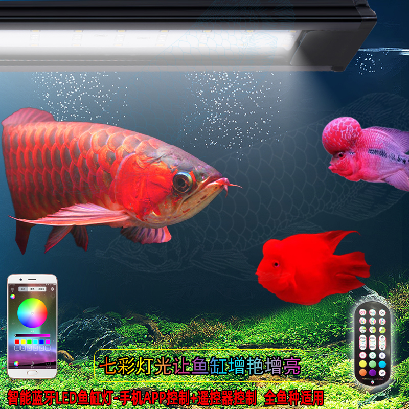2米鱼缸遥控七彩RGB变色手机蓝牙金红龙鱼定时专用灯水族防水造景