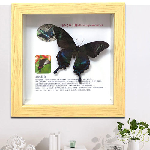 草木秋语图文并茂包邮真昆虫蝴蝶