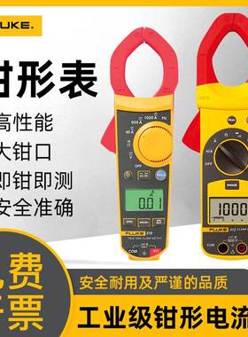 FLUKE福禄克F317/319/312/302+钳形电流表303/305/362/365交直流