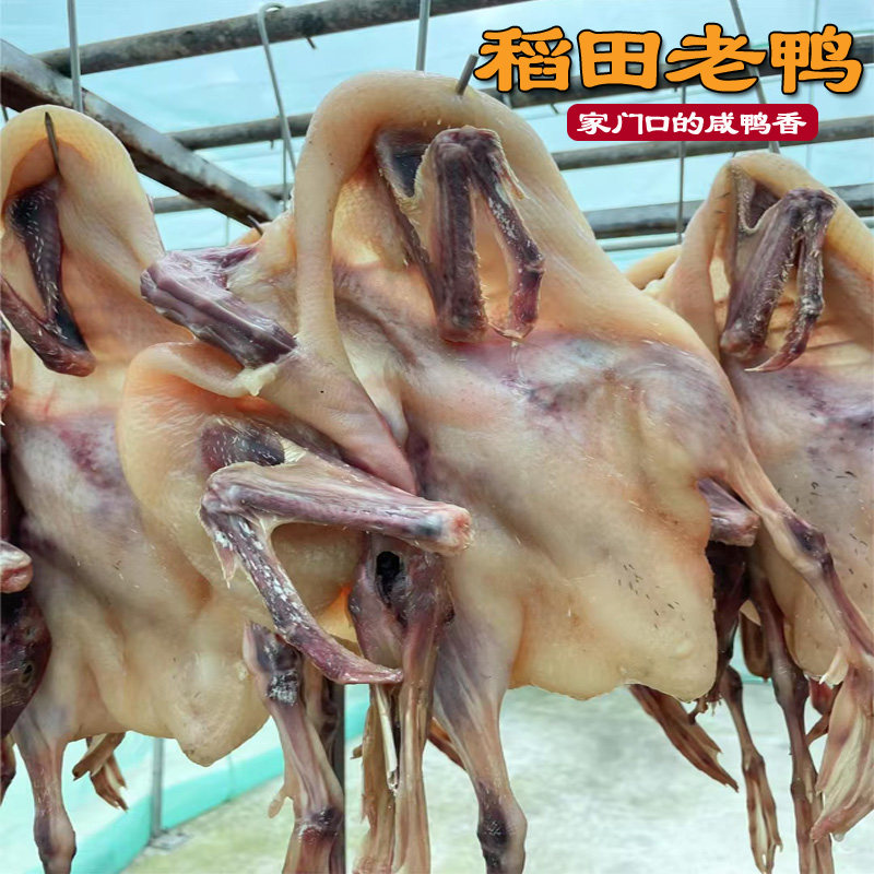 大只咸鸭成年风干咸麻鸭腊鸭农家腌制散养稻田鸭六安板鸭安徽特产