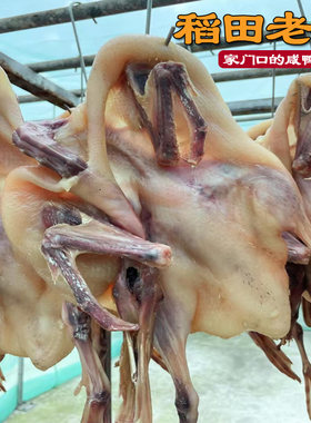 稻田咸麻鸭六安土特产手工腌制