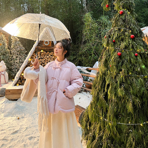 DM100立领杜邦棉服外套