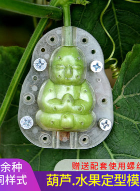 葫芦生长定型模具塑料模子范制葫芦套模型文玩天然小葫芦水果模具