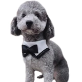 Костюм, шарф, чокер, свадебное платье, слюнявчик, аксессуар