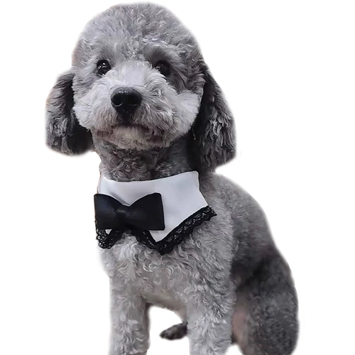 Костюм, шарф, чокер, свадебное платье, слюнявчик, аксессуар