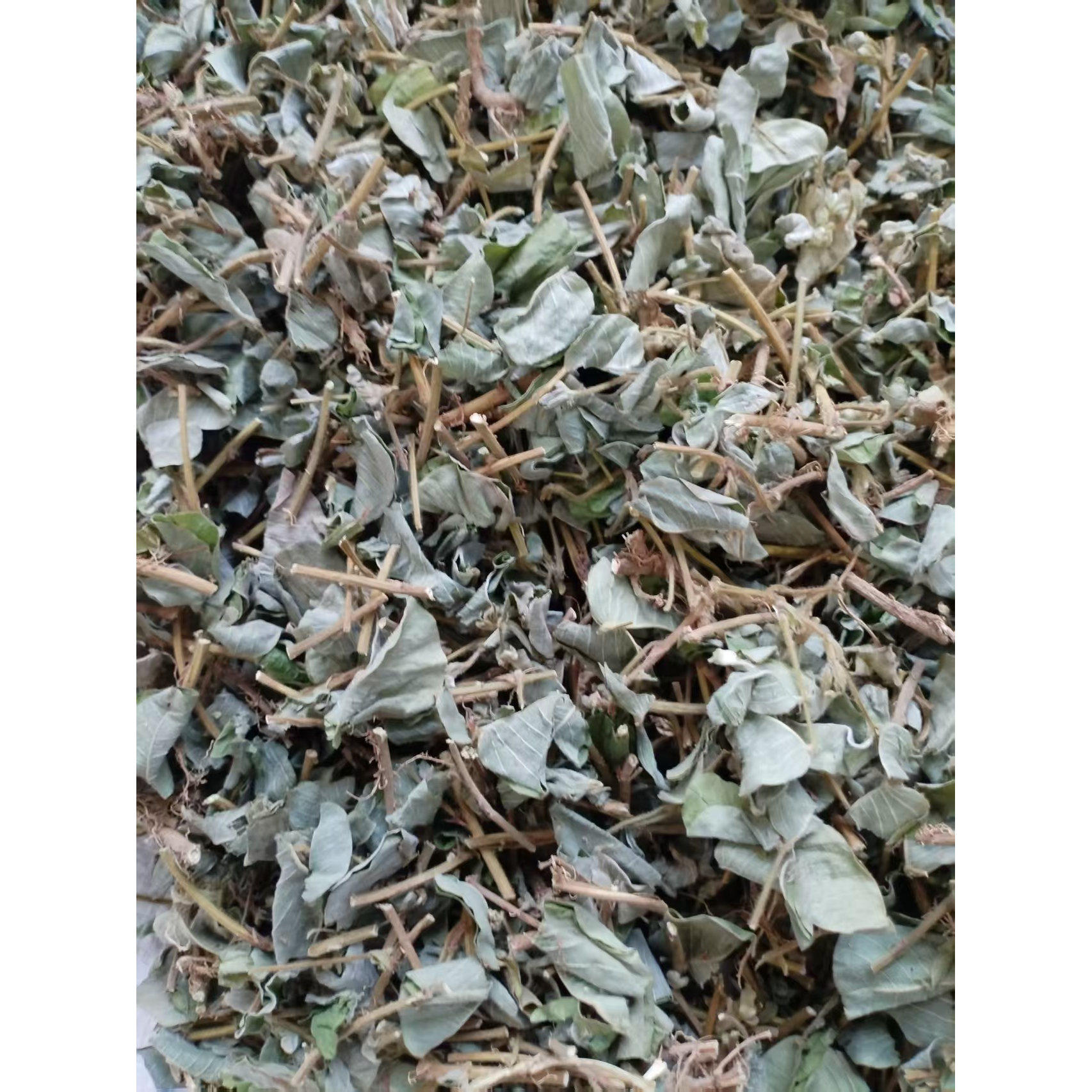 包邮特级中药材新货正品广西大叶金钱草绿色干净无硫清凉通淋茶