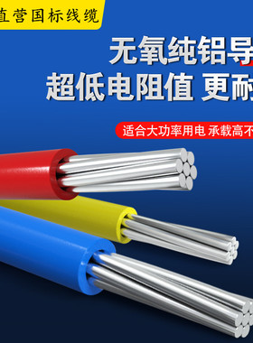 单股铝塑线BLV 10 25 35 70 95 120 240平方铝芯入户线防老化电缆