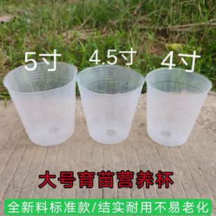 蝴蝶兰专用营养杯大号育苗杯营养钵多肉育苗扦插盆白色透明营养杯